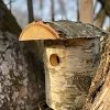 Budka lęgowa dla ptaków Otwierana Brzozowa - Sklep z wiklina - zdjęcie 1